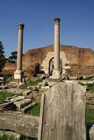 Im Forum Romanum
