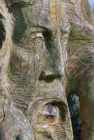 Slawische Kunst