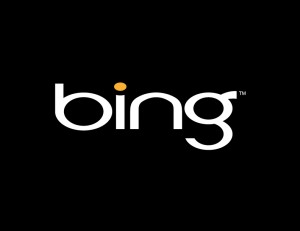 Bing-Logo reverse
