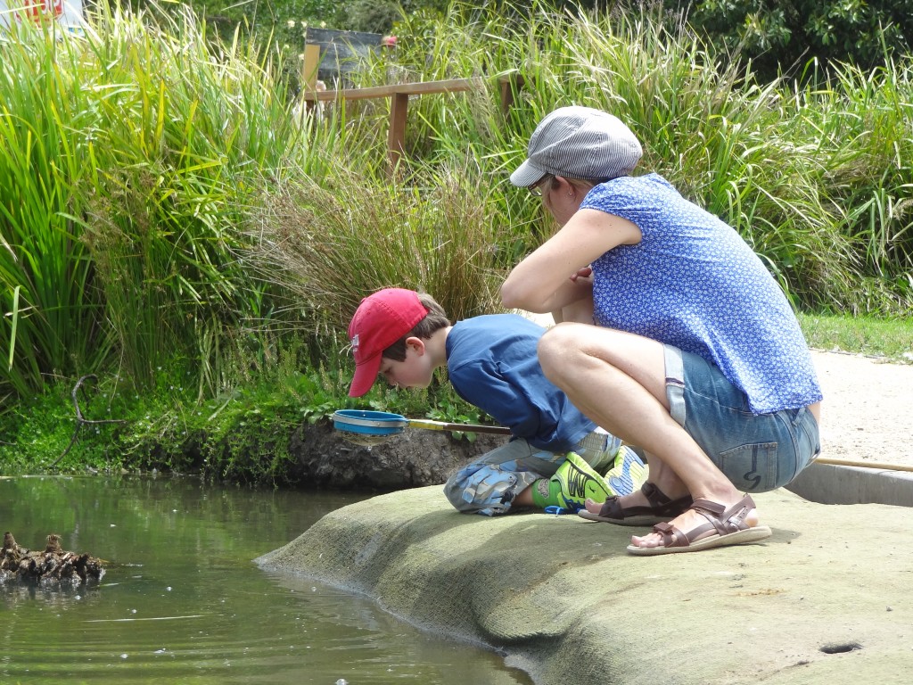 Keschern im Hunter Wetland Park
